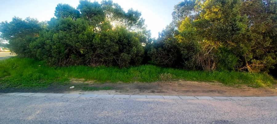 0 Bedroom Property for Sale in Shelley Point Western Cape